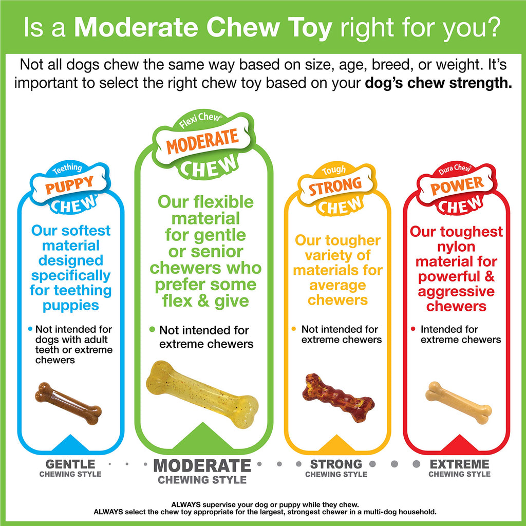 Nylabone Flexi Chew Tiny Gumabone Dog Chew Toys, XX-Small, 2 Count