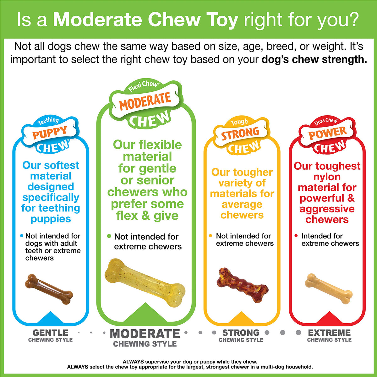 Nylabone Flexi Chew Tiny Gumabone Dog Chew Toys, XX-Small, 2 Count