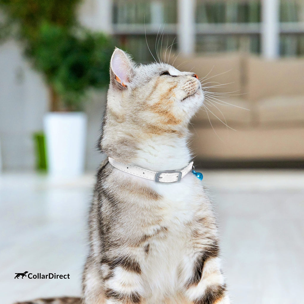 Soft Leather Cat Collar with Safety Elastic Strap