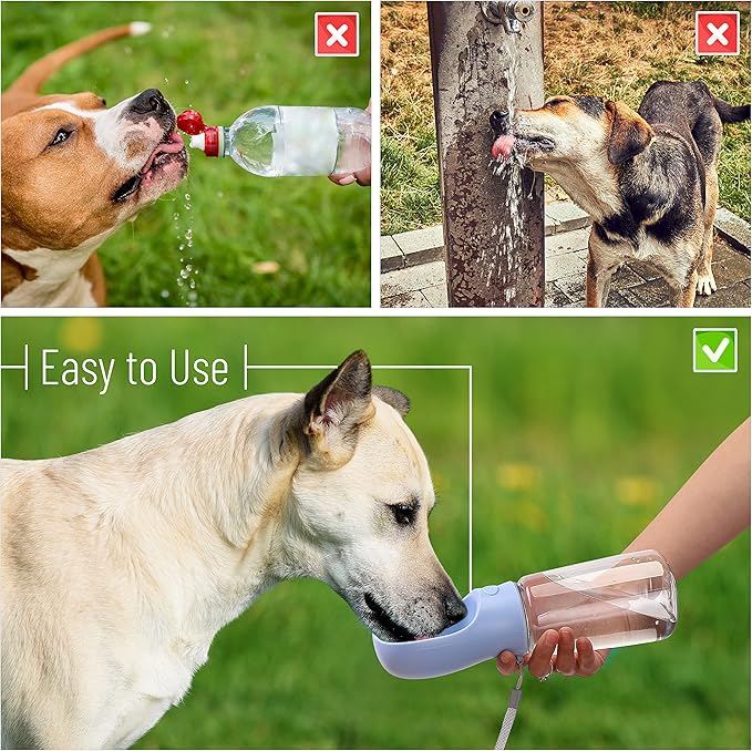 Mr. Pen- Portable Dog Water Bottle, 19 oz, Large