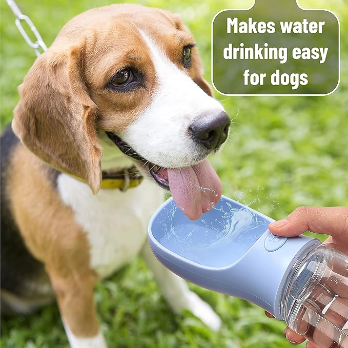 Mr. Pen- Portable Dog Water Bottle, 19 oz, Large
