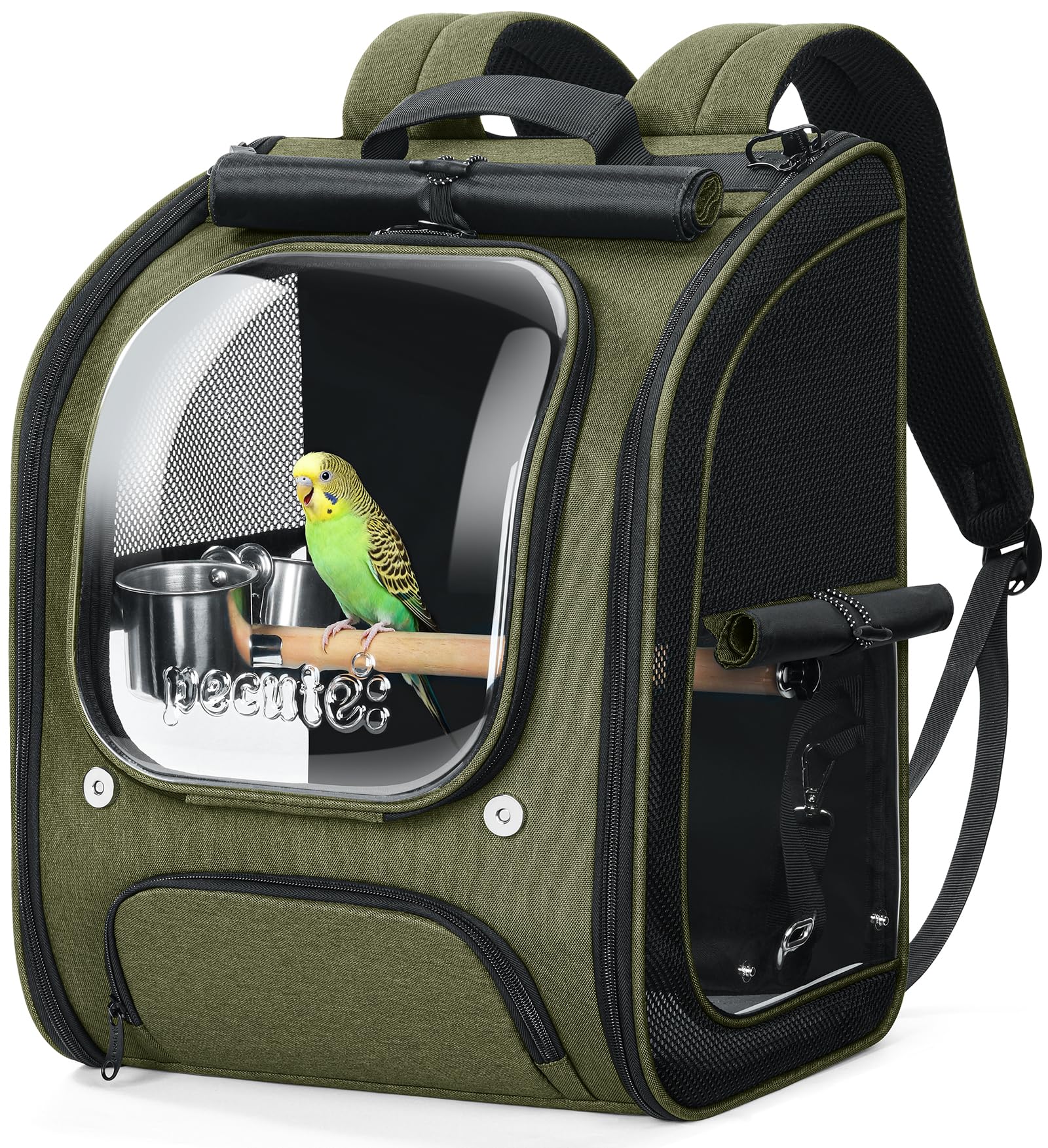 Pecute Bird Backpack Carrier with Standing Perch for Small Parrot, Green