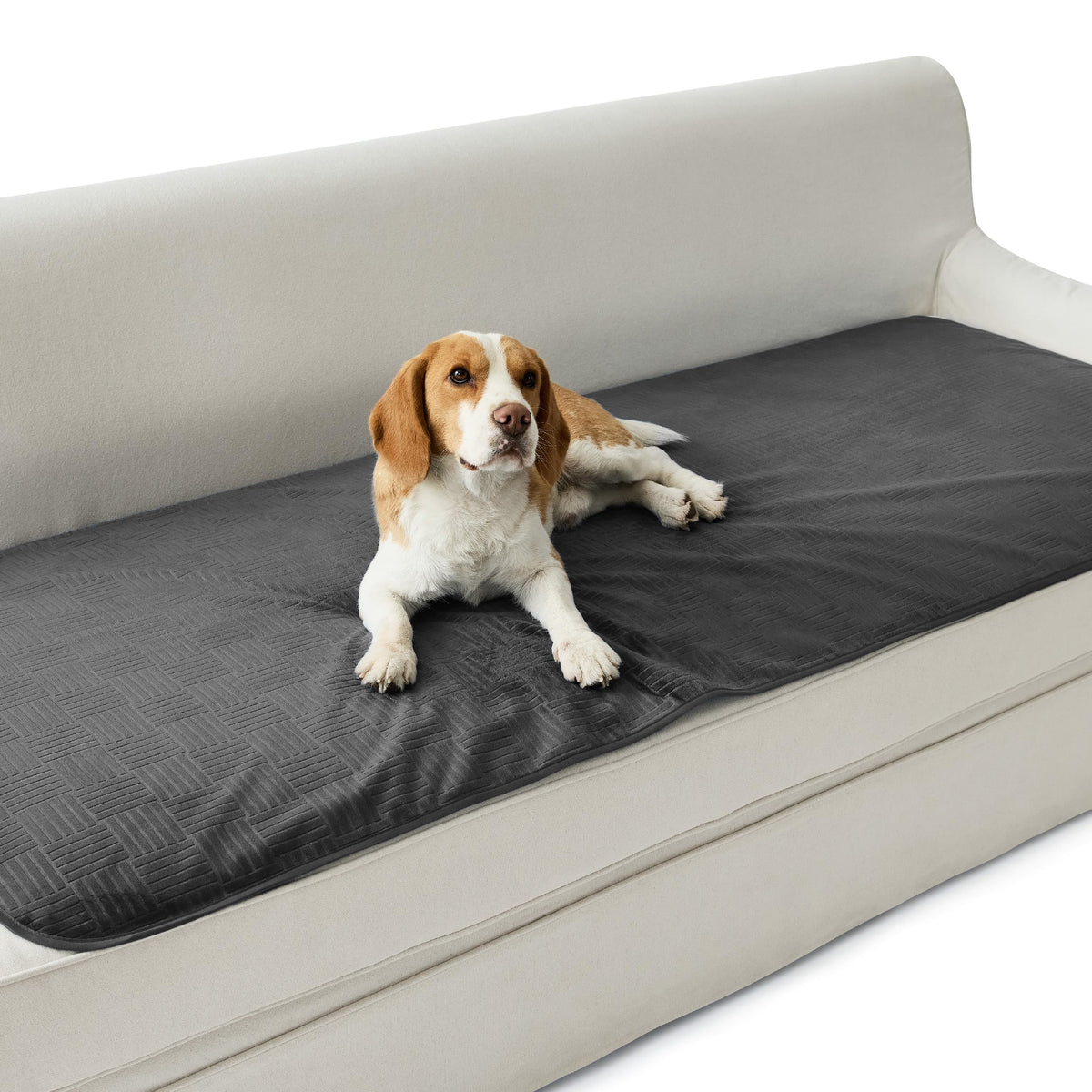 Bedsure Waterproof Couch Cover for Sofa and Dogs Quick Drying, 30x70IN