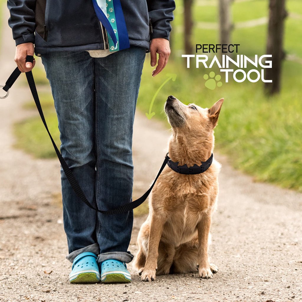 Ram-Pro Dog Training Pinch Collar Triple Crown Gentle Effective/No Barking Control for All Breeds