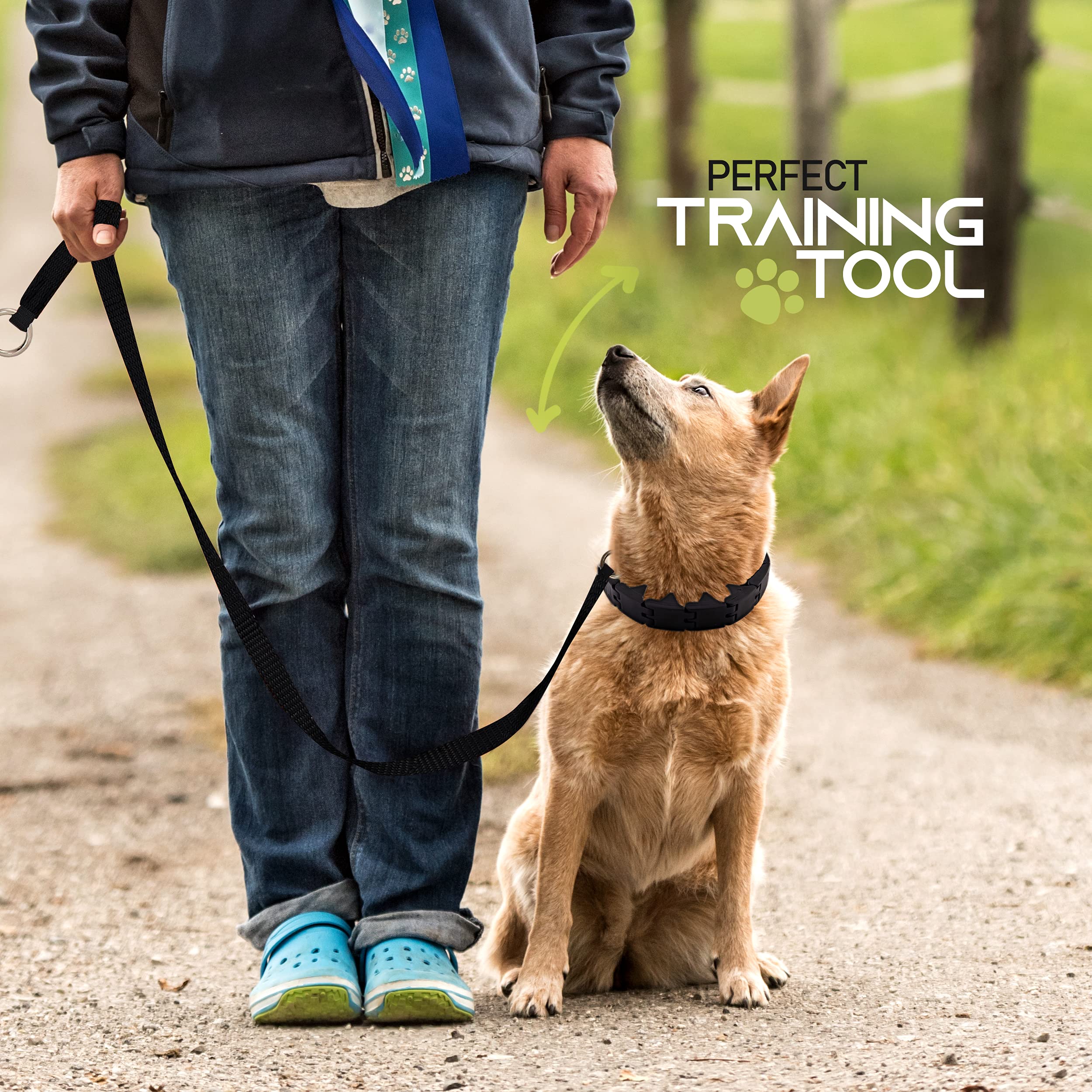 Ram-Pro Dog Training Pinch Collar Triple Crown Gentle Effective/No Barking Control for All Breeds