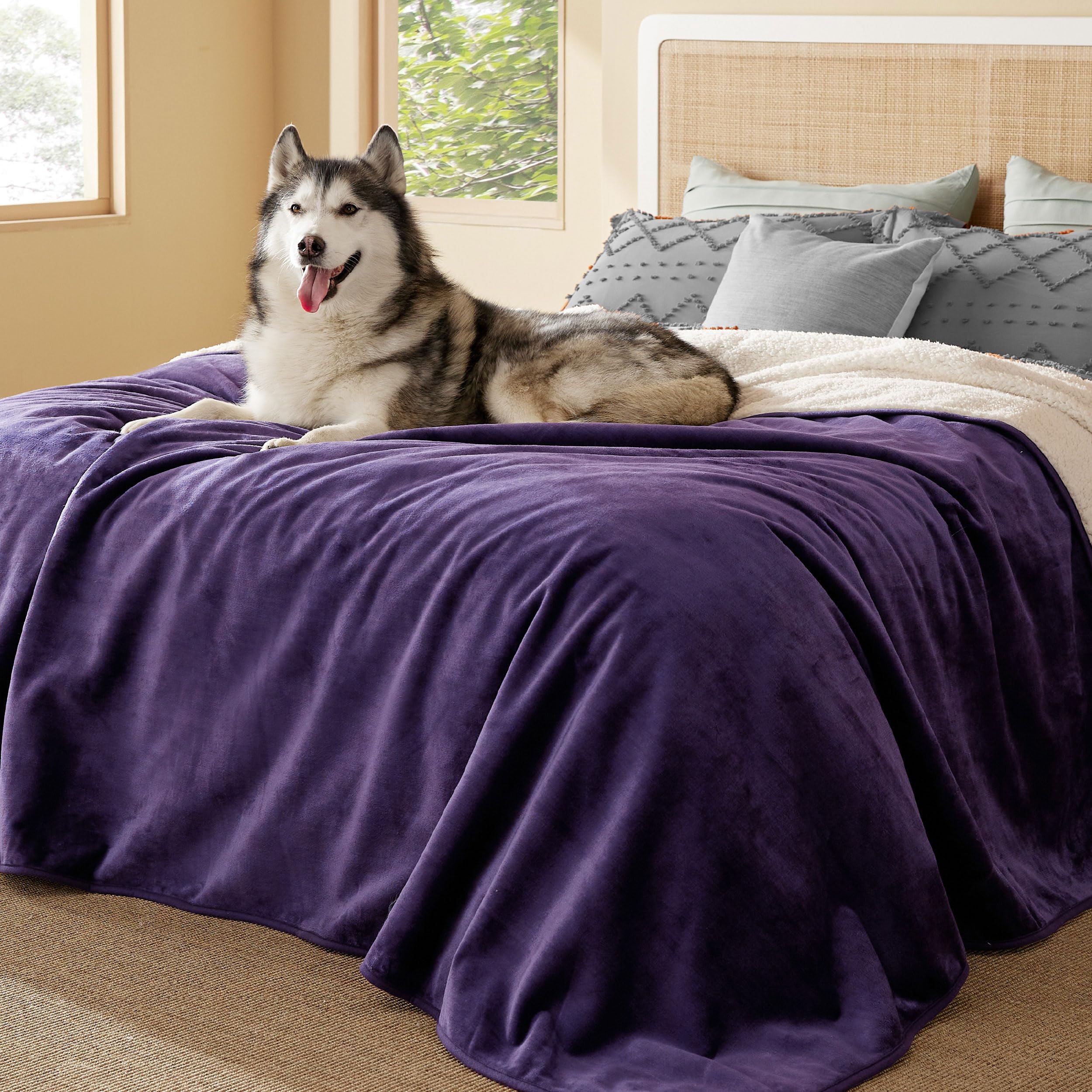 Bedsure Waterproof Blanket for Bed Soft Sherpa Fleece Throw,King 108"x86"