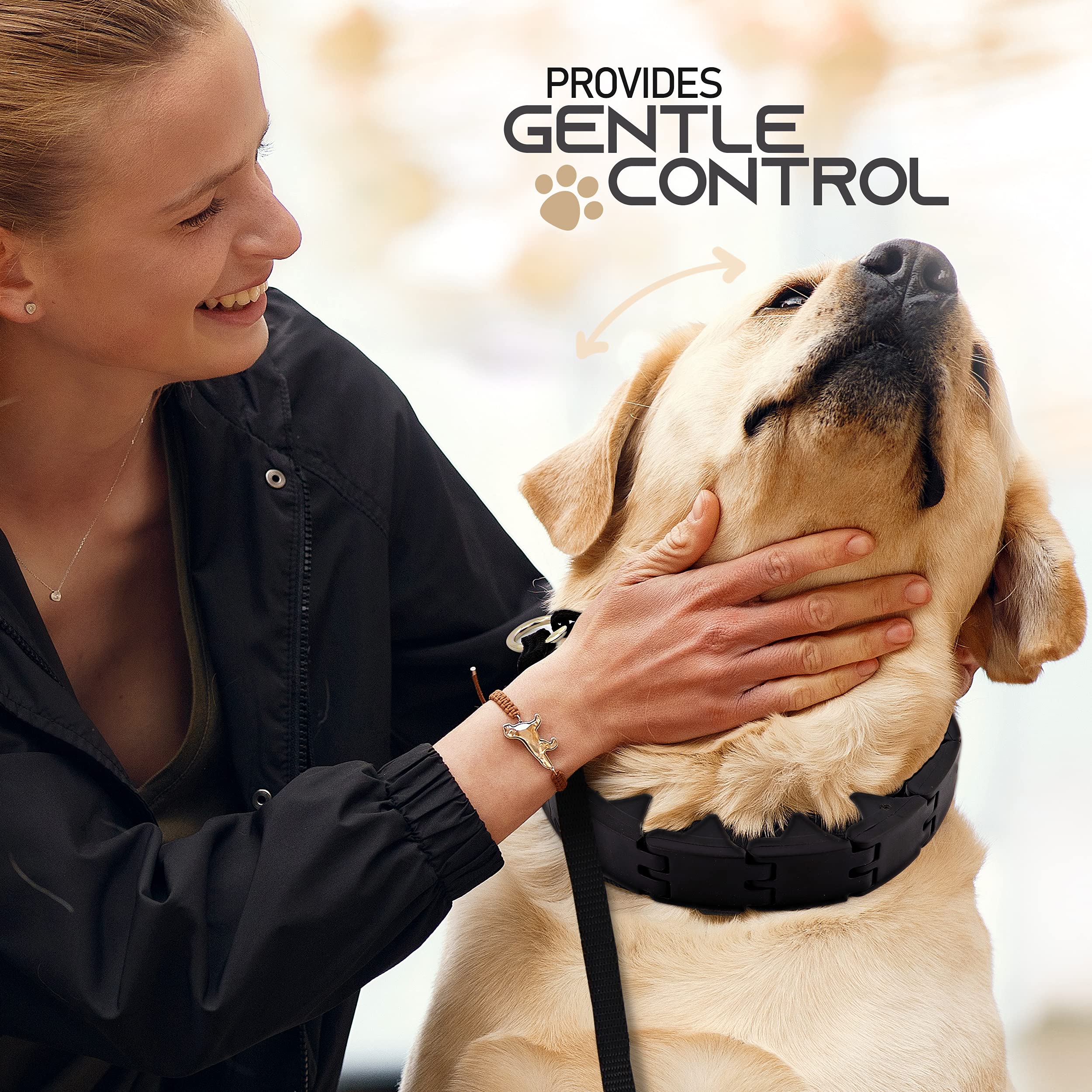Ram-Pro Dog Training Pinch Collar Triple Crown Gentle Effective/No Barking Control for All Breeds