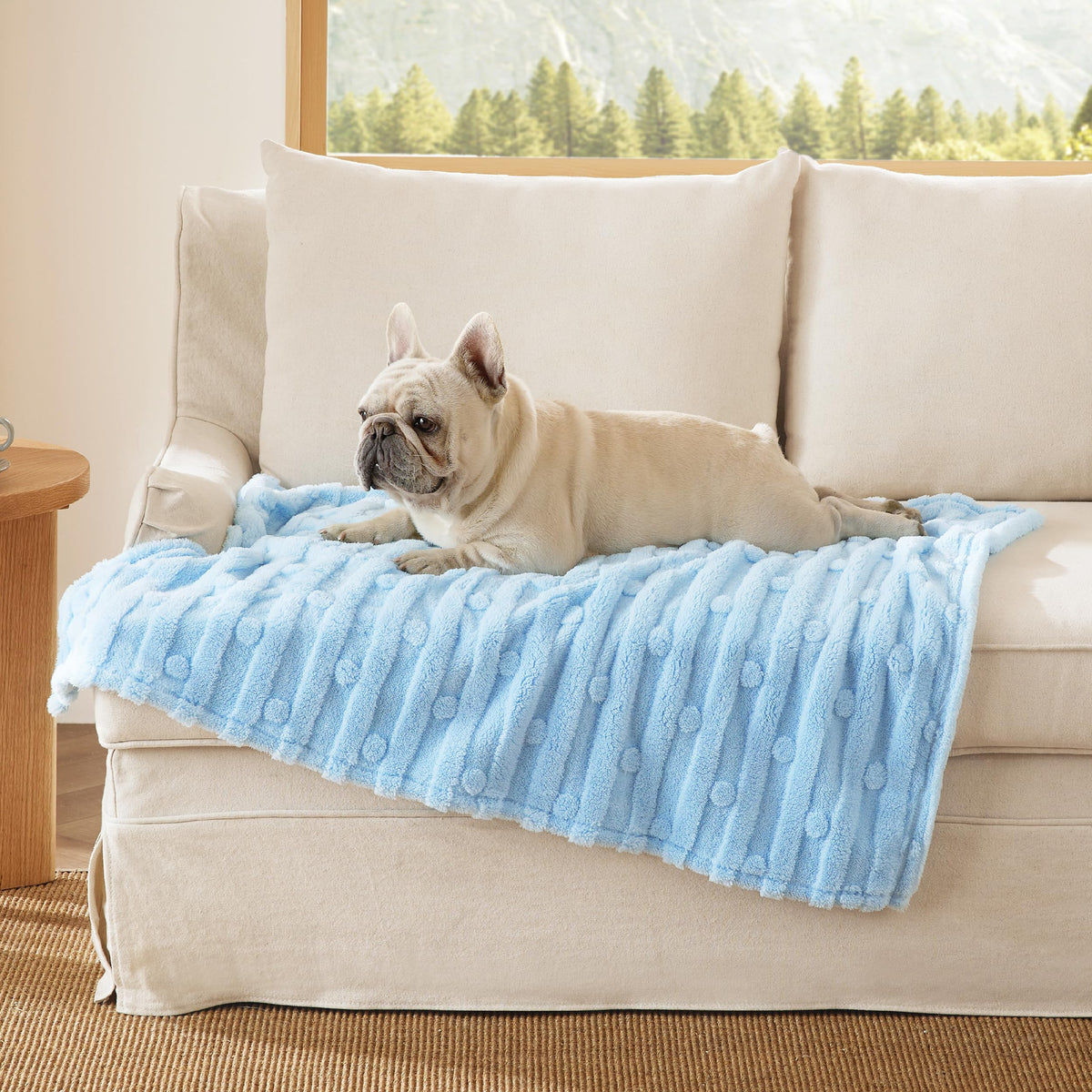 Bedsure Dog Blanket for Small Dogs Puppy and Cats, Soft Fleece, 25x35 inch
