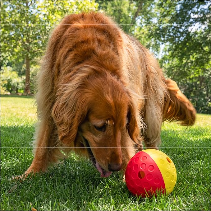 Outward Hound Nina Ottosson Treat Tumble Dog Toy Puzzle Ball, 5.8"