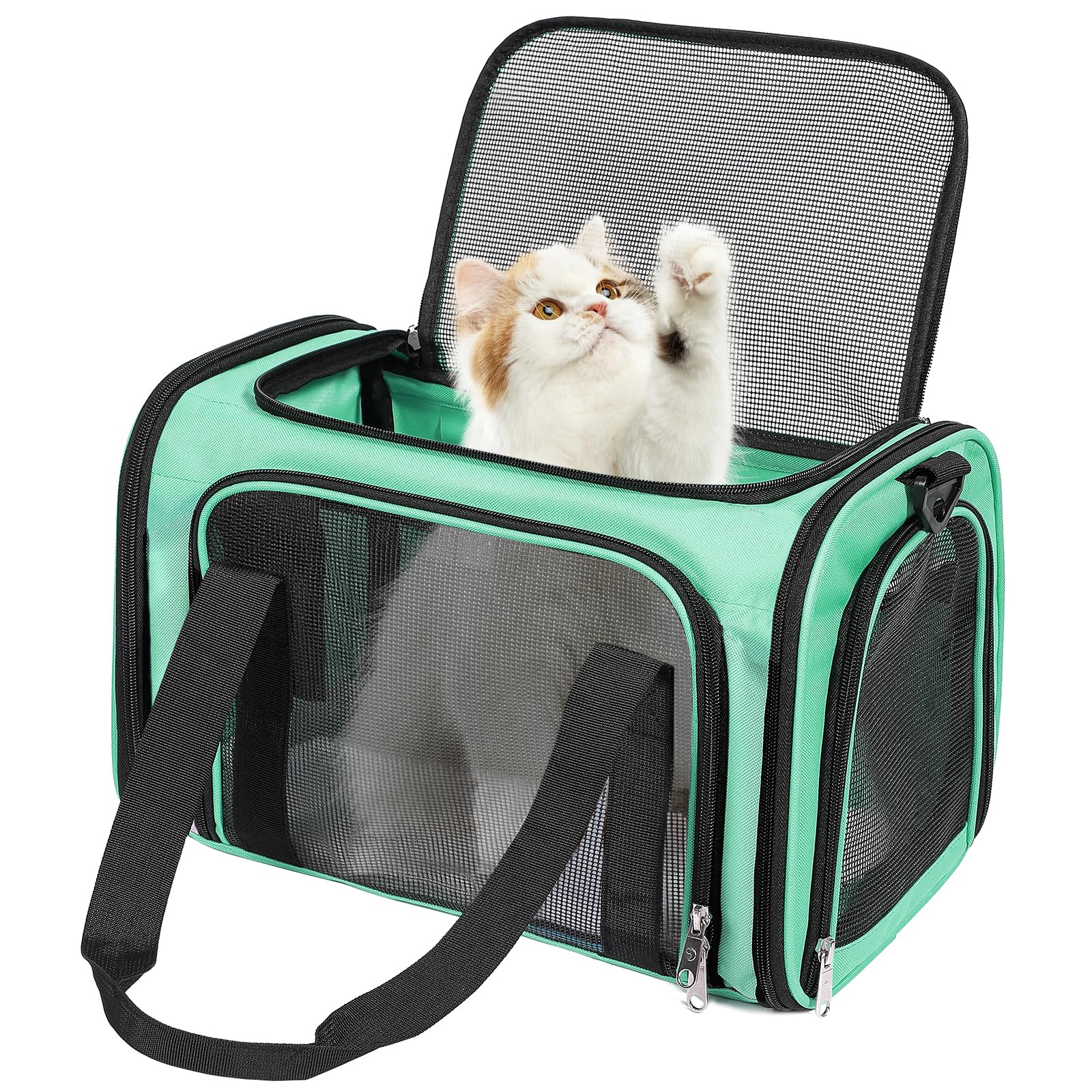 Discala Cat Dog Carrier Up to 15 Lbs TSA Airline Approved Pet Carrier for Small Medium Cats Puppies Dog Carriers for Small Dogs Collapsible Soft Sided Cat Travel Carrier - Green 15.7"x10.2"x10.2"