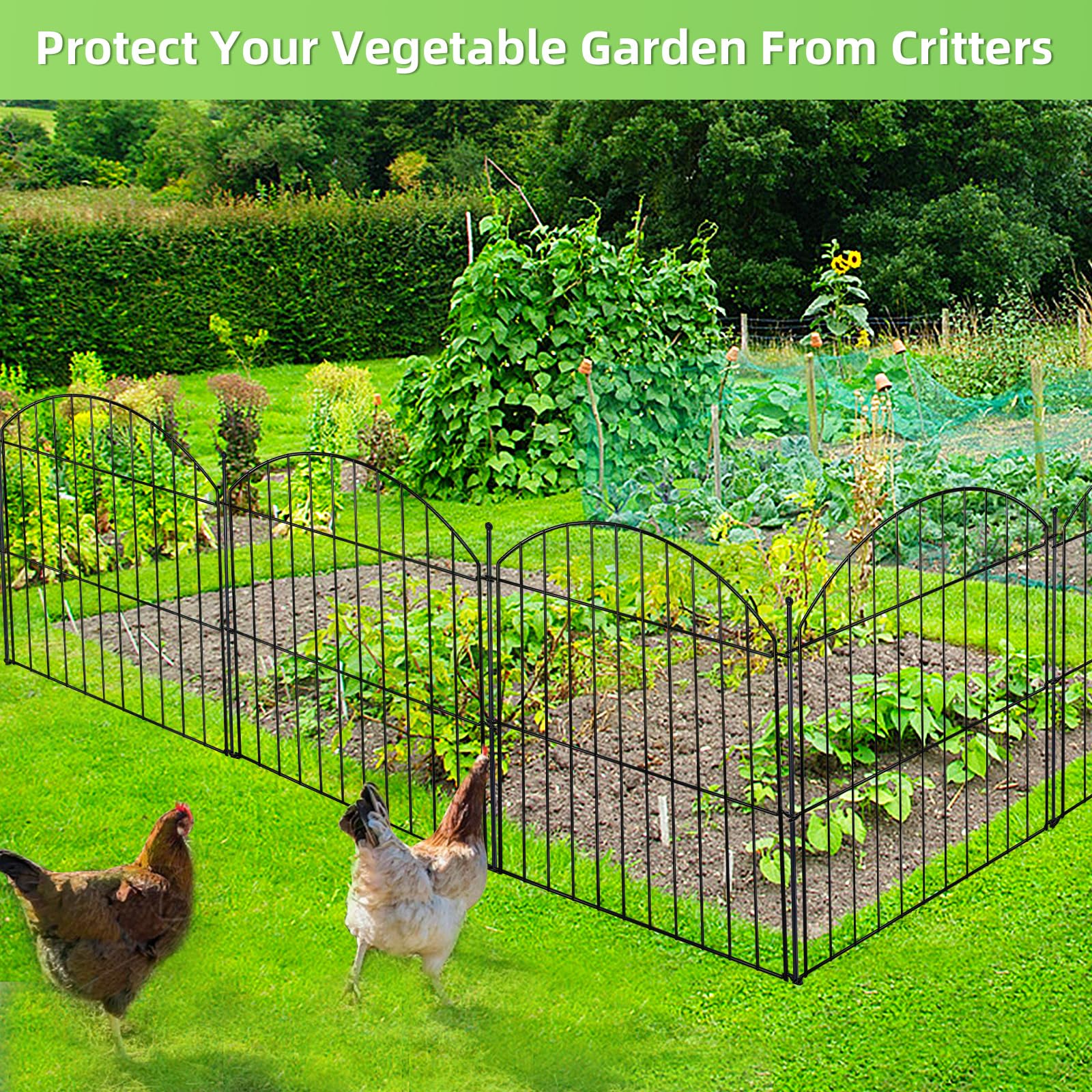 Decorative Garden Fence 24in (H) x10ft (L), 5 Pack No Dig Fence Animal Barrier for Dog with Lock, Arched Flower Bed Edging, Wire Border Panel Fencing for Yard Patio Outdoor Decor