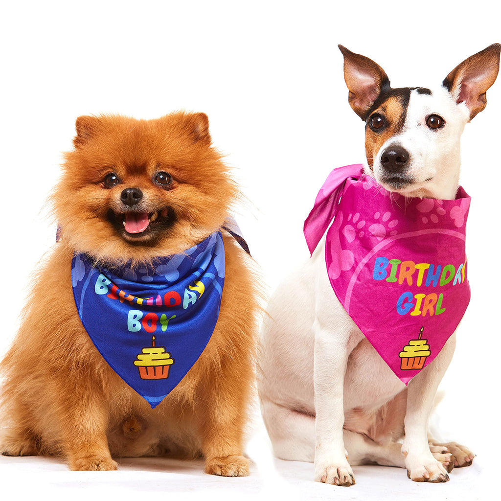 Odi Style Dog Birthday Bandana - 2 Pack Boy Girl Bandanas for Dogs Puppy Birthday Party Decorations, Small