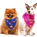 Odi Style Dog Birthday Bandana - 2 Pack Boy Girl Bandanas for Dogs Puppy Birthday Party Decorations, Small