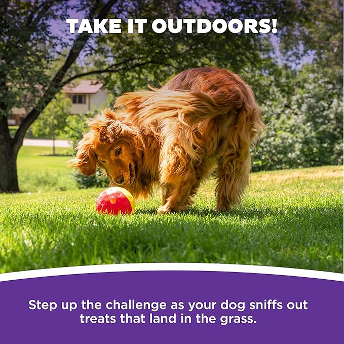 Outward Hound Nina Ottosson Treat Tumble Dog Toy Puzzle Ball, 5.8"