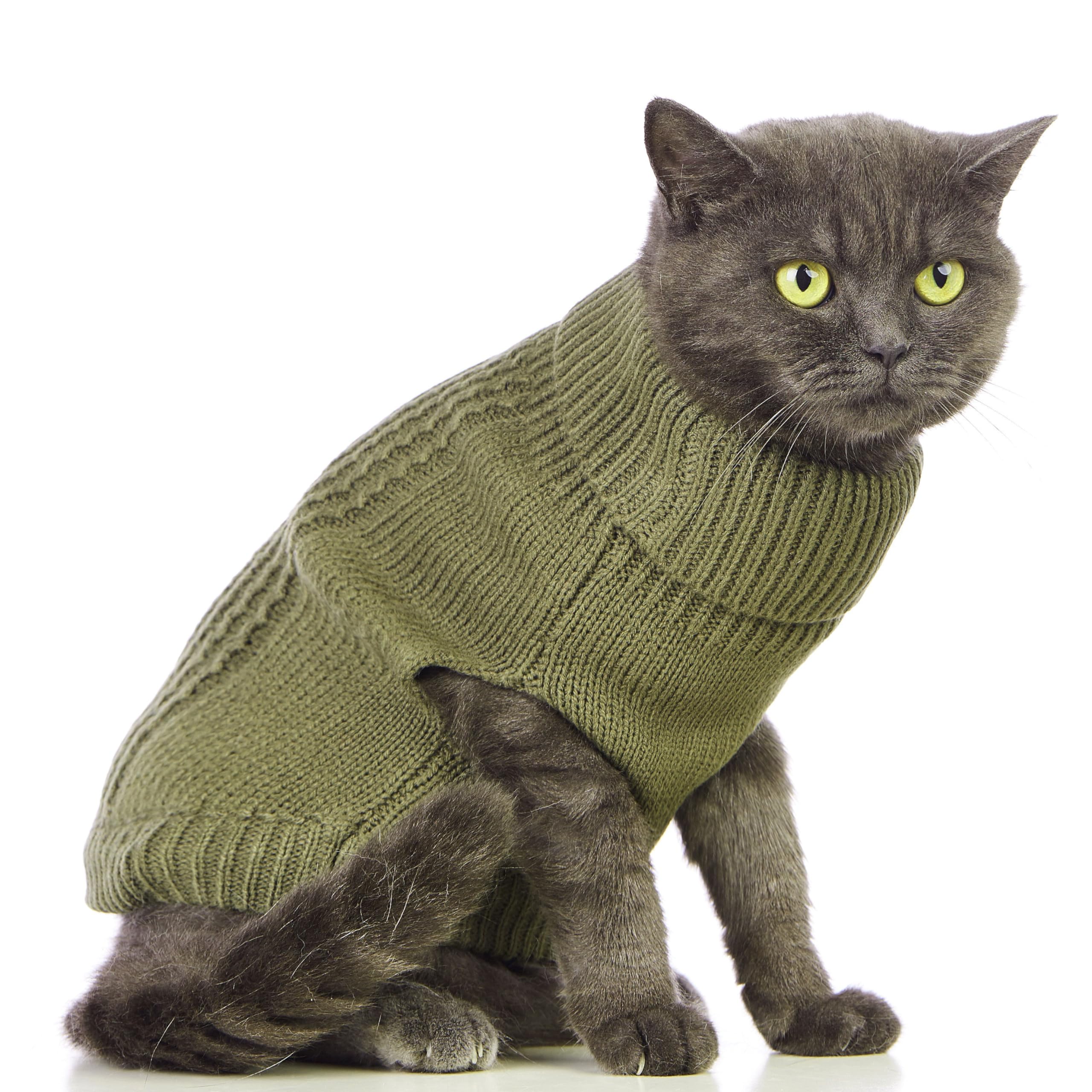 Jnancun Cat Sweater Stretchy,19 Colors,6 Sizes,Snug Winter (Olive Green, Large, Vest)
