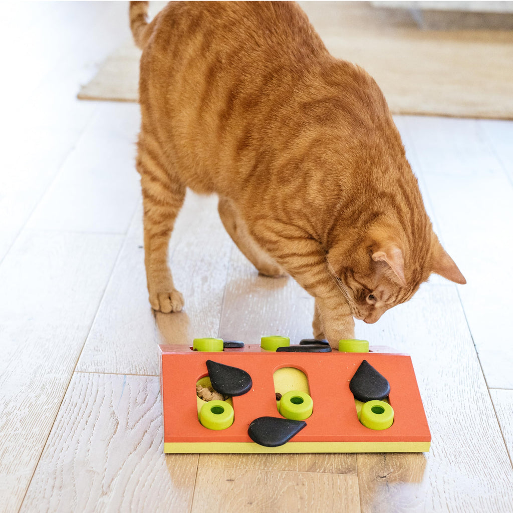 Catstages Nina Ottosson Melon Madness Puzzle & Play Cat Toy, 10.6"