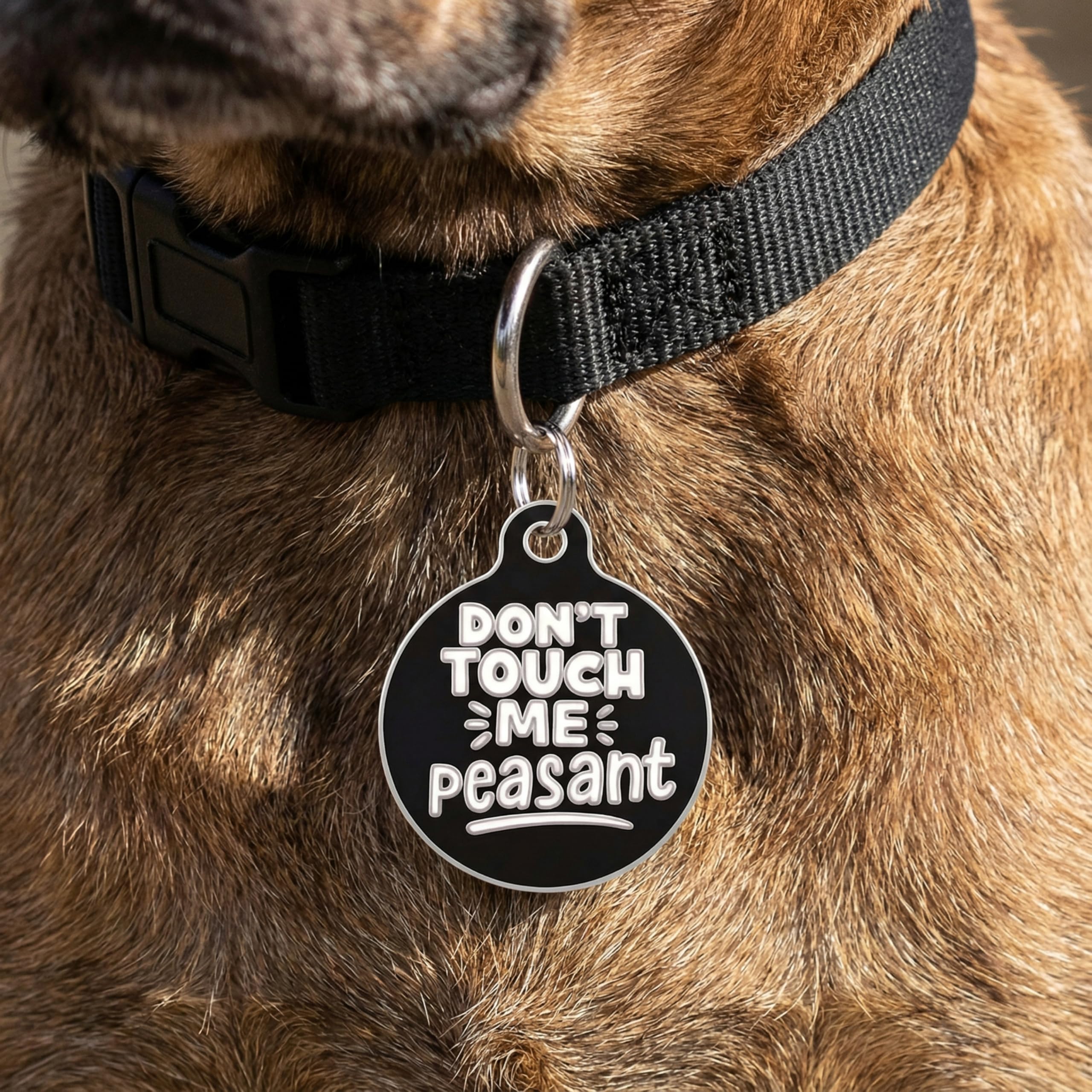 Bad Tags Personalized Dog and Cat ID Tags in 25+ Designs and 2 Sizes - 5 Lines of Custom Engraved Text - Funny Cute Personalized Pet Tags (Don't Touch Me Peasant, Large (1.25 inch))