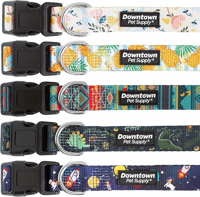 Downtown Pet Supply - Best & Fancy Adjustable Dog Collar with Quick Buckle & D-Ring - Hand Wash Safe - Dino - M - Medium