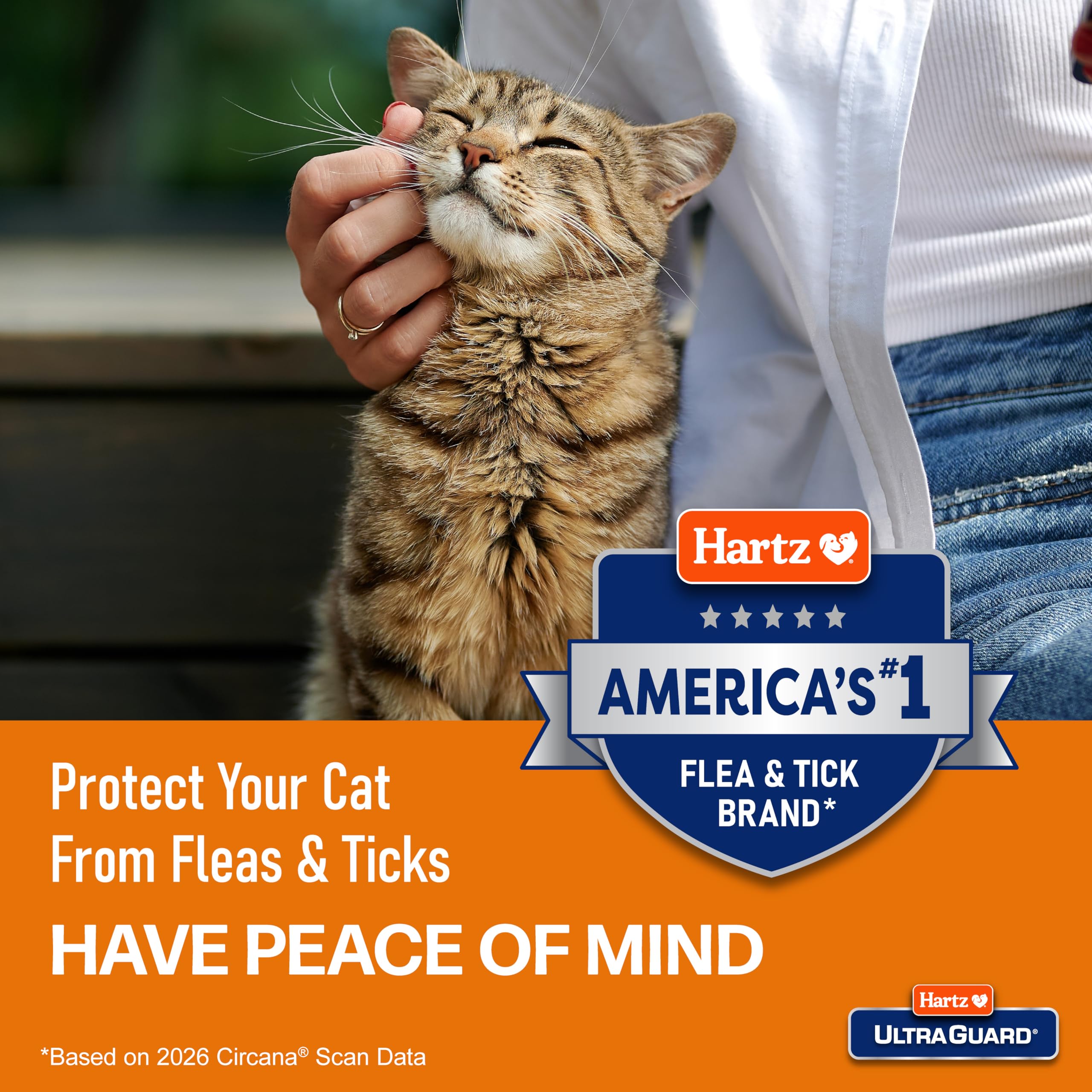 Hartz UltraGuard Flea & Tick Collar for Cats and Kittens, 7 Month Flea and Tick Protection and Prevention, White