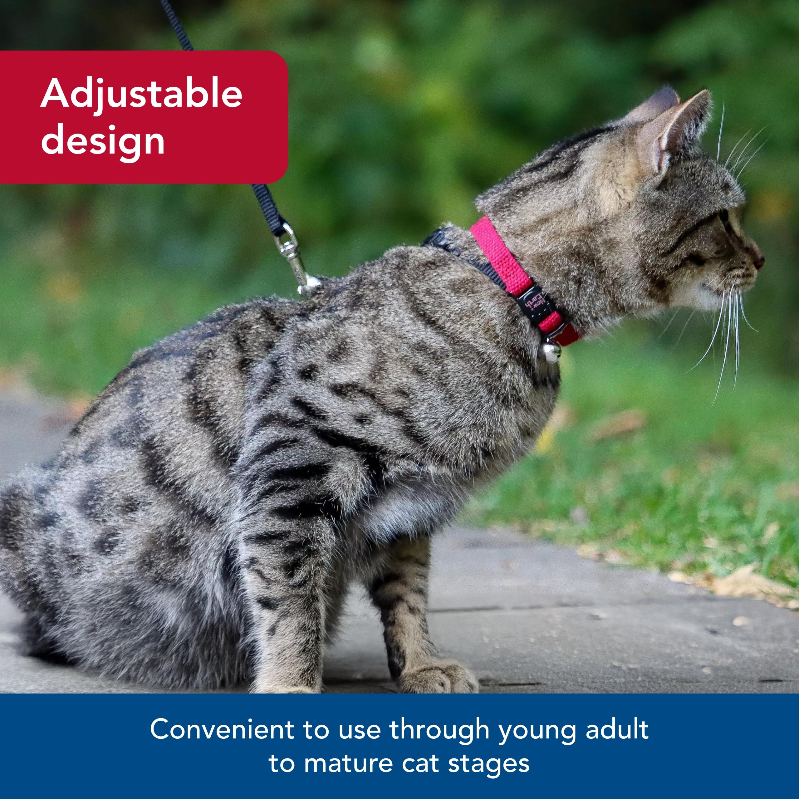 Coastal Pet New Earth Soy Adjustable Breakaway Cat Collar - Eco-Friendly, Odor-Resistant and Adjustable Cat Collar, Cranberry, 3/8" x 08"-12"