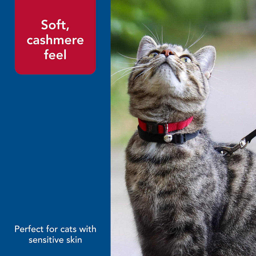 Coastal Pet New Earth Soy Adjustable Breakaway Cat Collar - Eco-Friendly, Odor-Resistant and Adjustable Cat Collar, Cranberry, 3/8" x 08"-12"