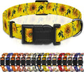 Seyezo Dog Collar, Floral Boys Girls Puppy Collar, Adjustable Soft Pet Collar with Safety Buckle for Small Medium Large Dogs (Yellow Sunflower, XS)