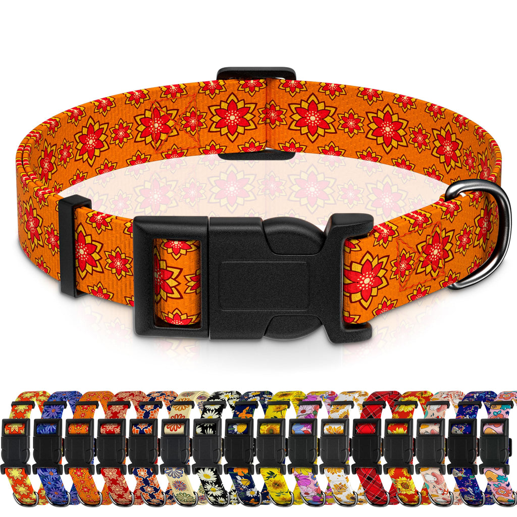 Seyezo Dog Collar, Classical Indian Spirit, Orange, S