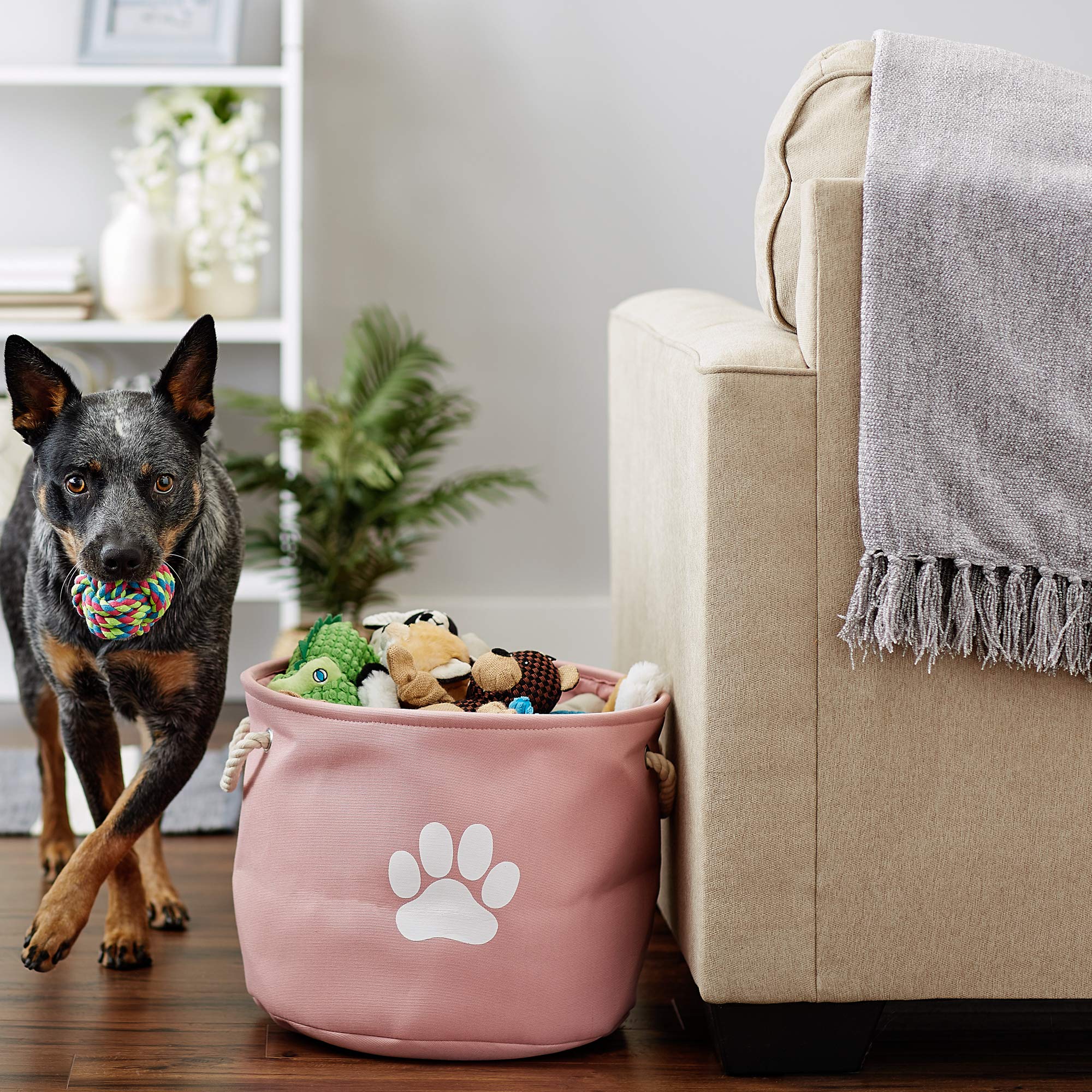 Bone Dry Pet Storage Collection Collapsible Bin, Rose, Medium Round