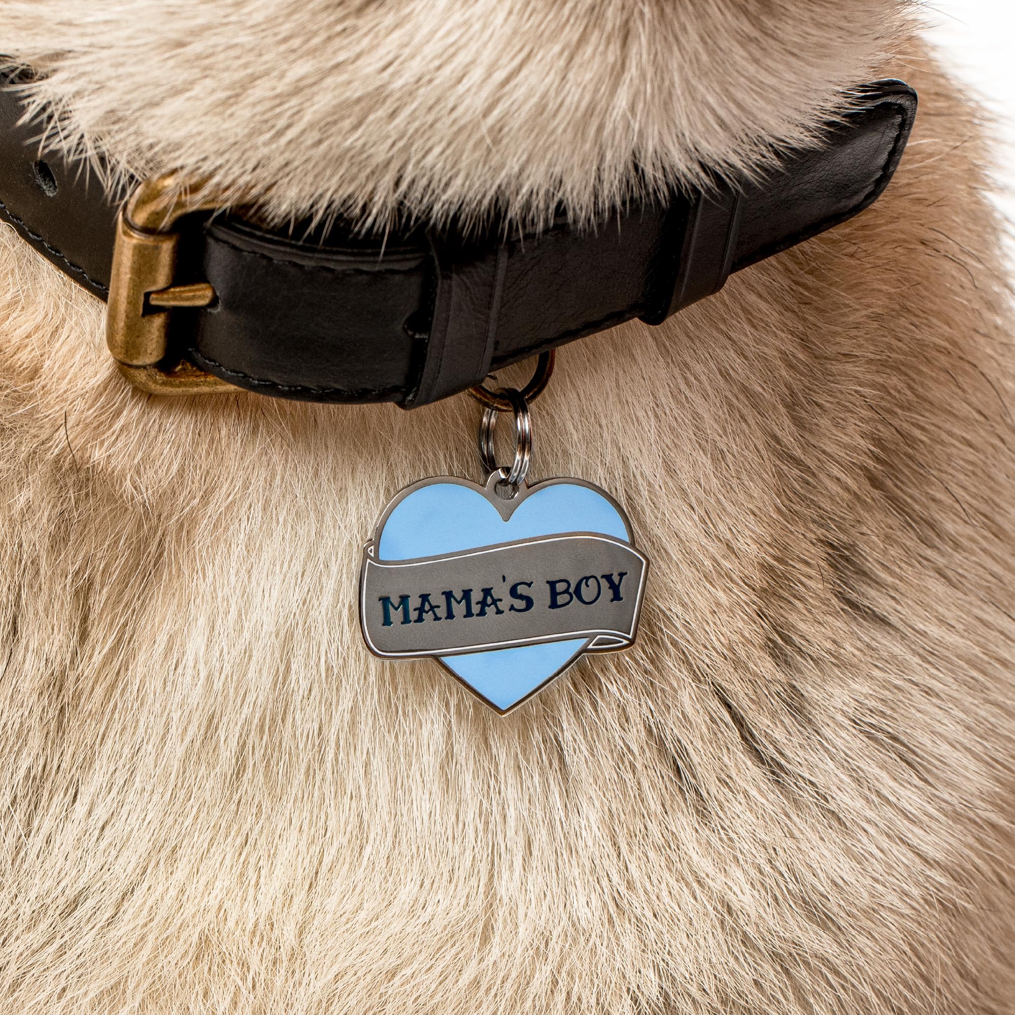 Two Tails Mama's Boy Personalized Dog ID Tag, Engraved, Silver Plating
