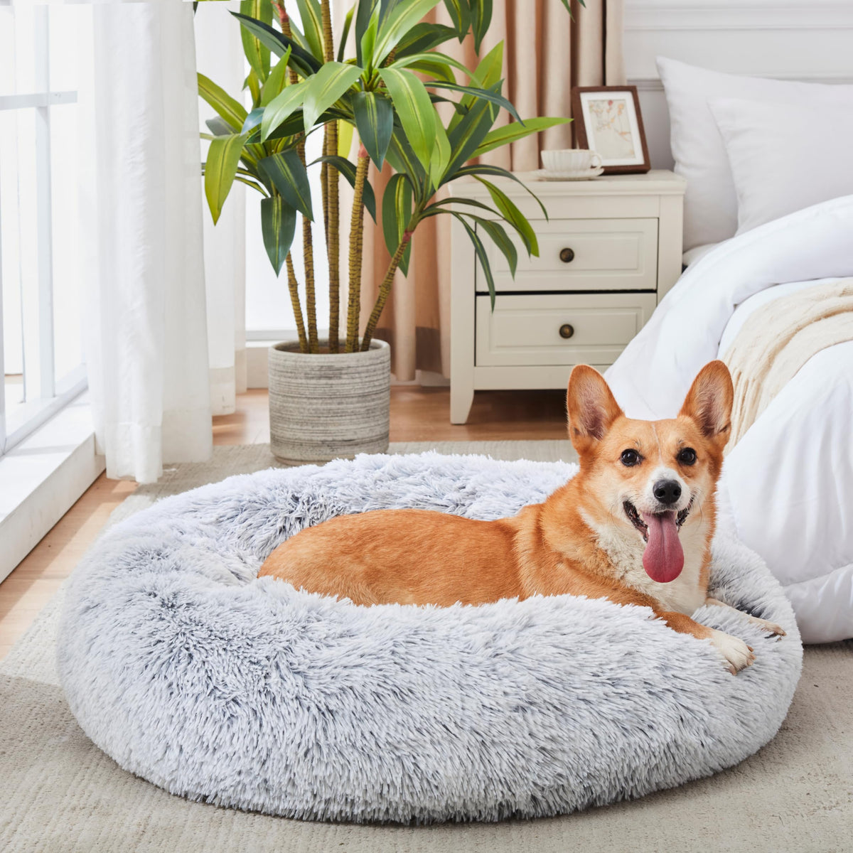 Western Home Calming Donut Small Dog Cat Bed Washable Puppy Bed,24" Rainbow
