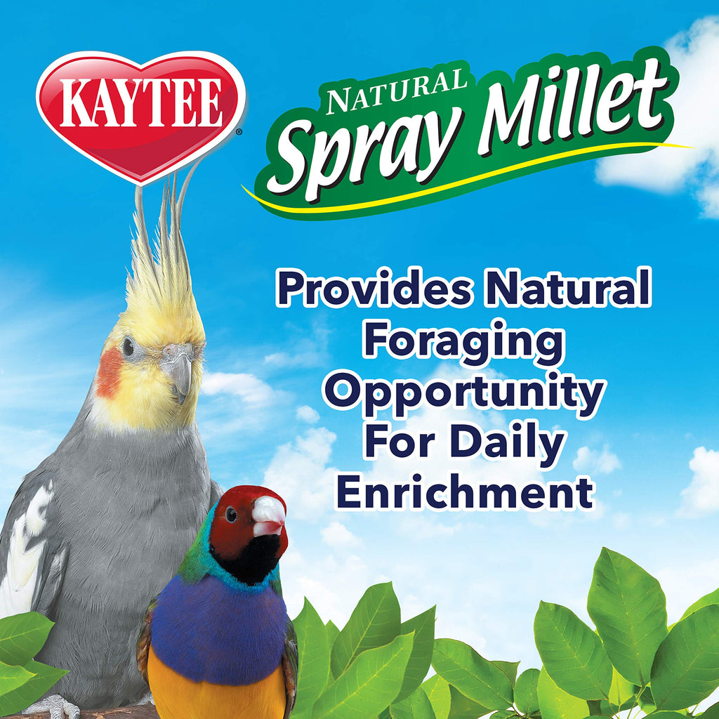 Kaytee Spray Millet Treat for Pet Birds, 7 oz
