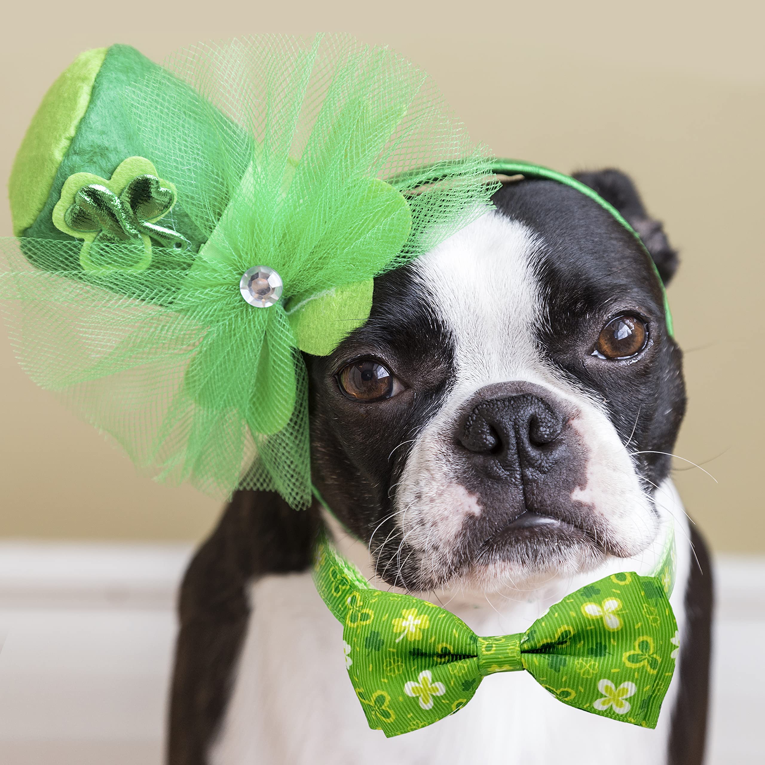 2 Pack St. Patrick Day Cat Collar with Bow Tie,Holiday Kitty Kitten Collar with Bell for Male Female Boys and Girls (Luckyclover)