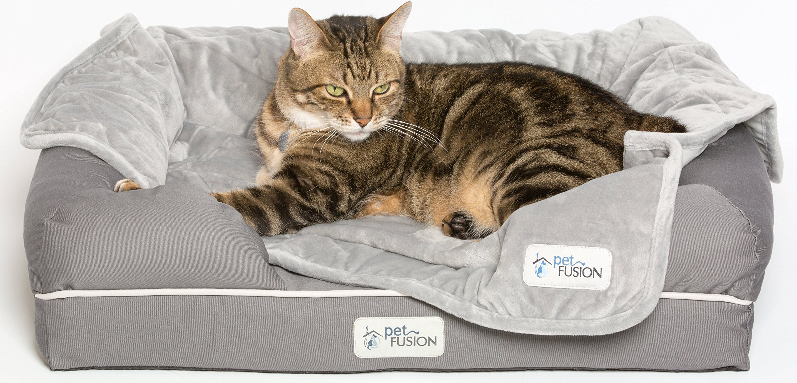 PetFusion Ultimate Dog Bed, Orthopedic Memory Foam, Multiple Sizes and Colors, Medium Firmness Pillow, Waterproof Liner, YKK Zippers, Breathable 35% Cotton Cover