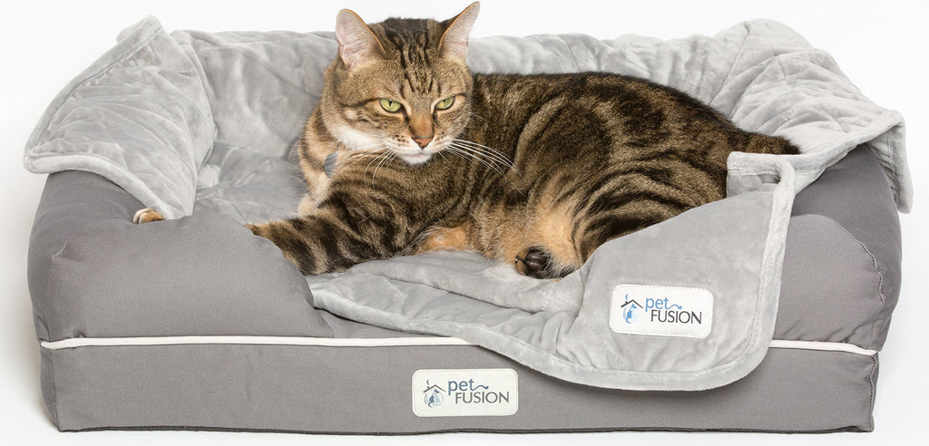 PetFusion Ultimate Dog Bed, Orthopedic Memory Foam, Multiple Sizes and Colors, Medium Firmness Pillow, Waterproof Liner, YKK Zippers, Breathable 35% Cotton Cover