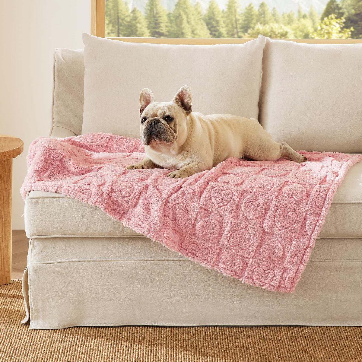 Bedsure Dog Blanket for Small Dogs Puppy and Cats, Soft Fleece, 25x35 inch