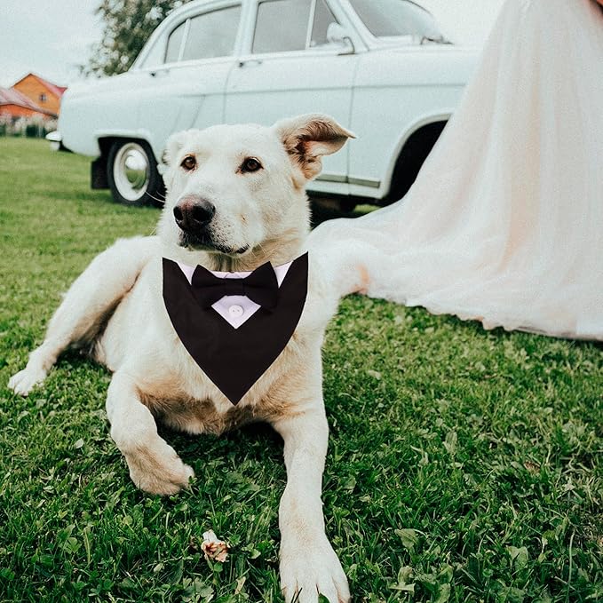 ADOGGYGO Formal Dog Tuxedo, Wedding Dog Collar with Bow Tie, Adjustable Pet Wedding Collar Bandana for Small Medium Large Dogs (Small, Black)