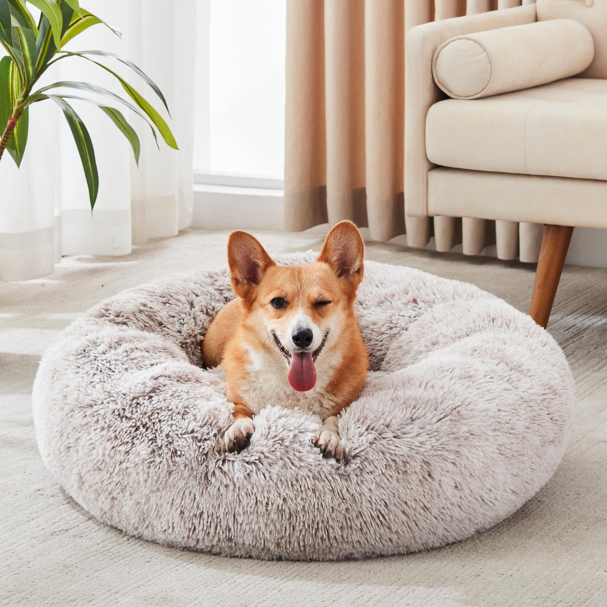 Western Home Calming Donut Small Dog Cat Bed Washable Puppy Bed,24" Rainbow