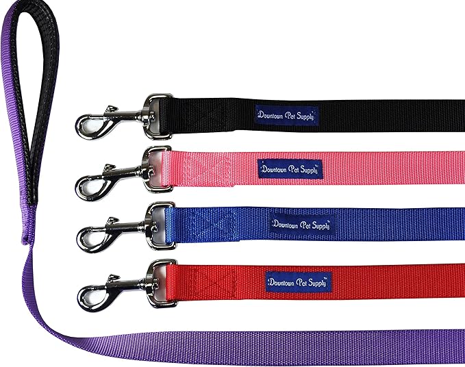 Downtown Pet Supply 4ft Heavy-Duty Dog Leash - Padded Comfort Handle & Stainless Steel Fastener - 0.75 in Wide - Purple