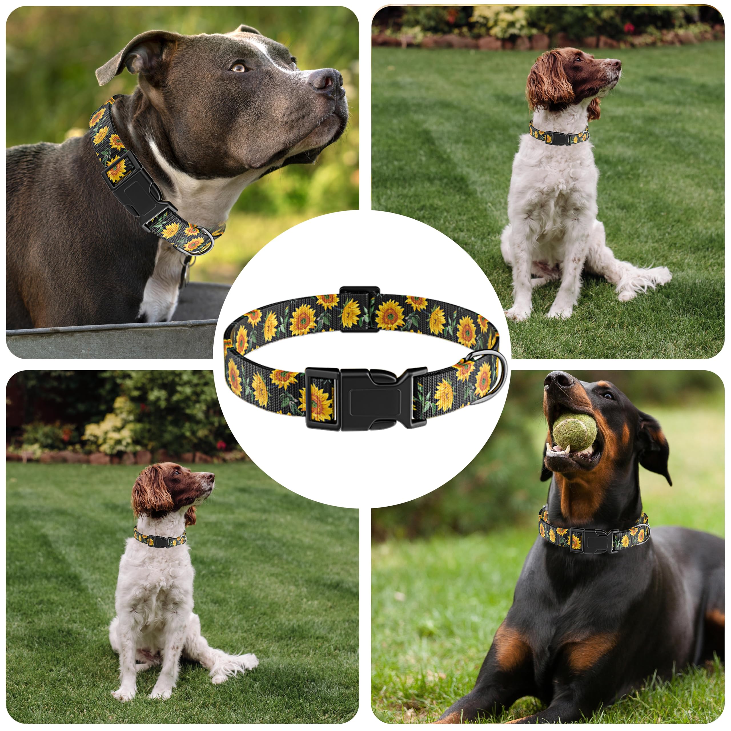 Seyezo Dog Collar, Sunflower Puppy Collar for Boys Girls Black Sunflower, L