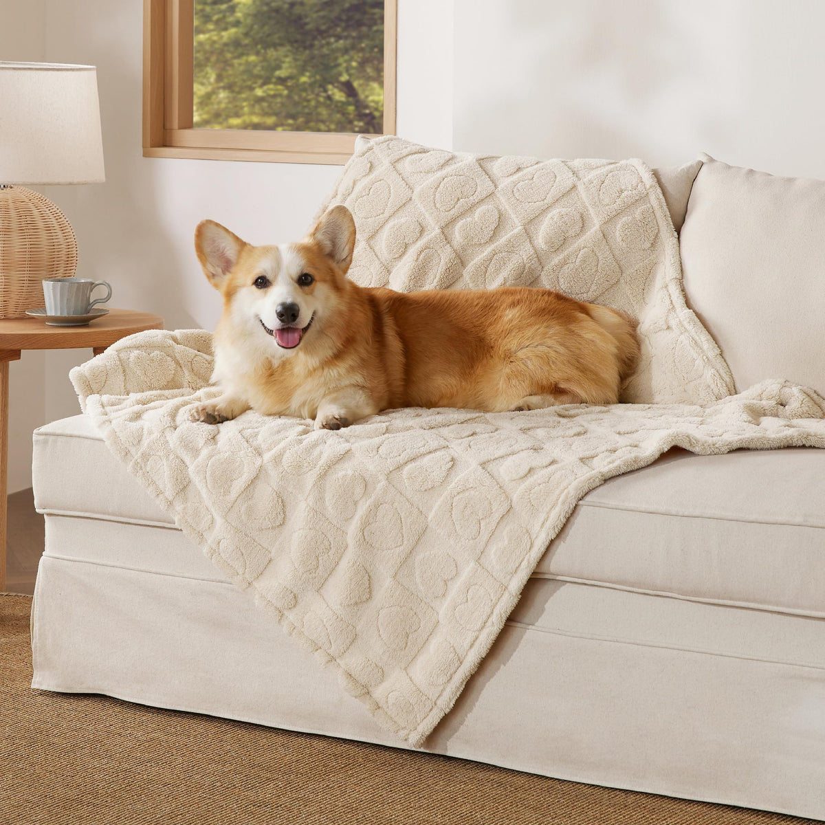 Bedsure Dog Blanket for Small Dogs Puppy and Cats, Soft Fleece, 25x35 inch