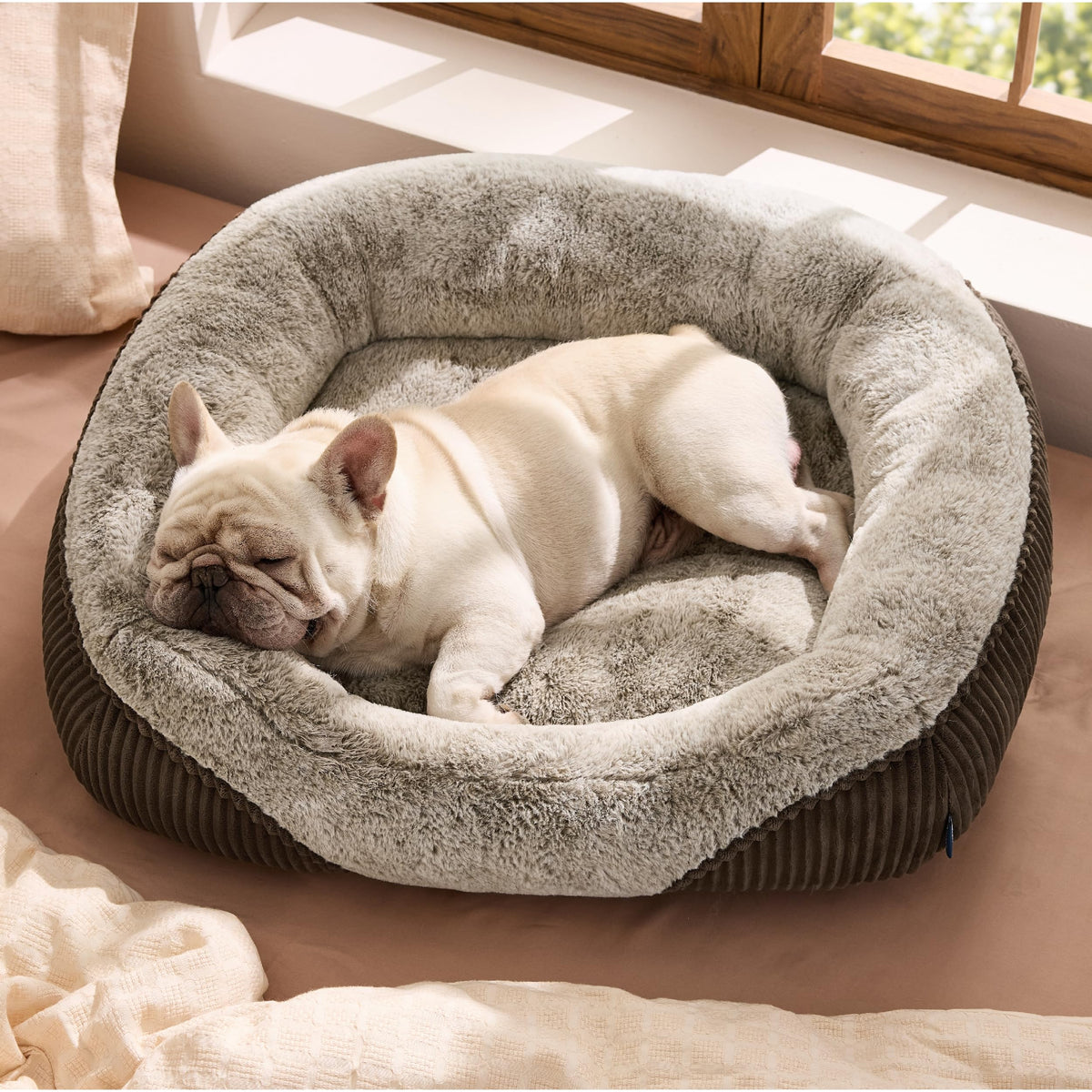 Bedsure Washable Dog Bed Small Medium Size Dog Rectangle Pet Bed,25x21x7in