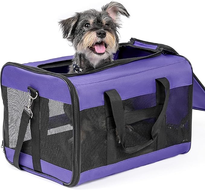 Conlun Dog Carrier Soft Sided, Large Cat Carrier with Inner Safety Leash, Pet Transport Carrier for Large Cats and Medium Dogs up to 20 Lbs, Collapsible Travel Puppy Carrier Bag -Black L