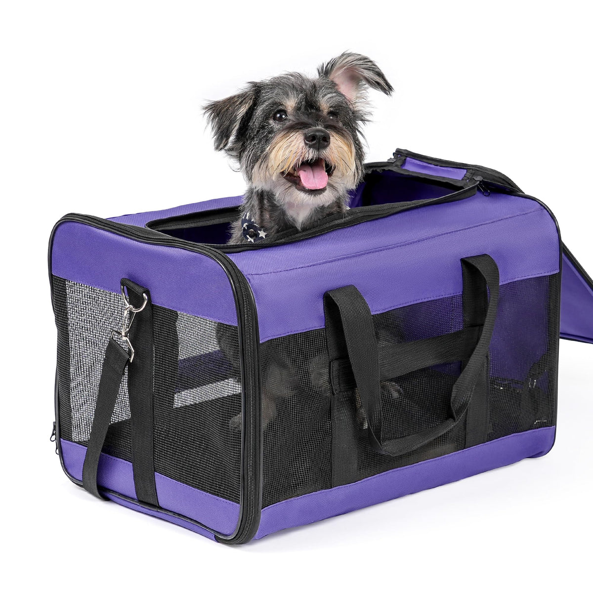 Conlun Dog Carrier Soft Sided, Large Cat Carrier,Black L