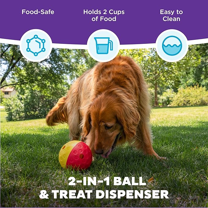 Outward Hound Nina Ottosson Treat Tumble Dog Toy Puzzle Ball, 5.8"