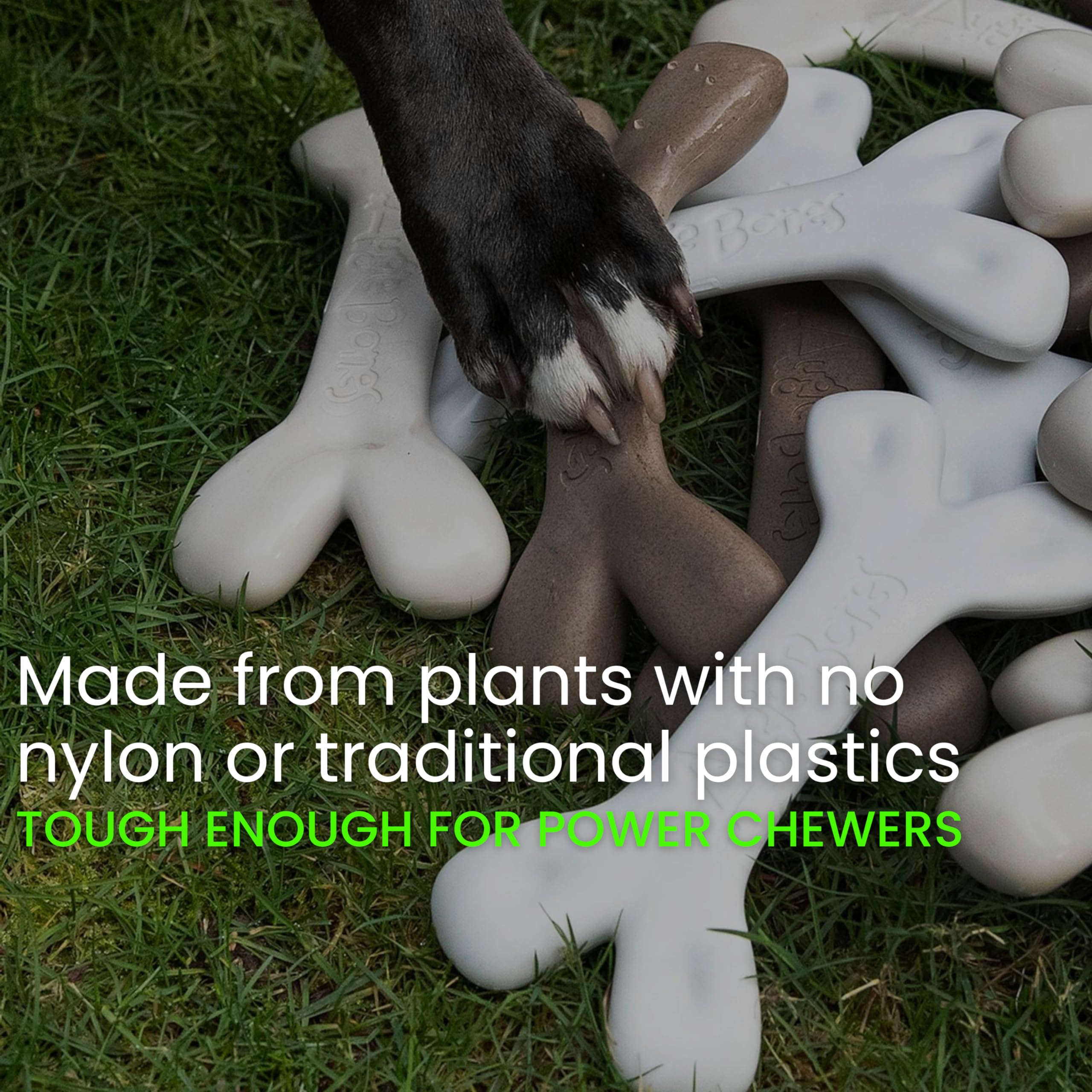 Augie Bones 2-Pack Non-Toxic Dog Toys - Sustainable Bacon Flavored Dog Chew Toys for Aggressive Chewers - Plant-Based Bioplastic Pet Toys - Made in The USA (Mighty)