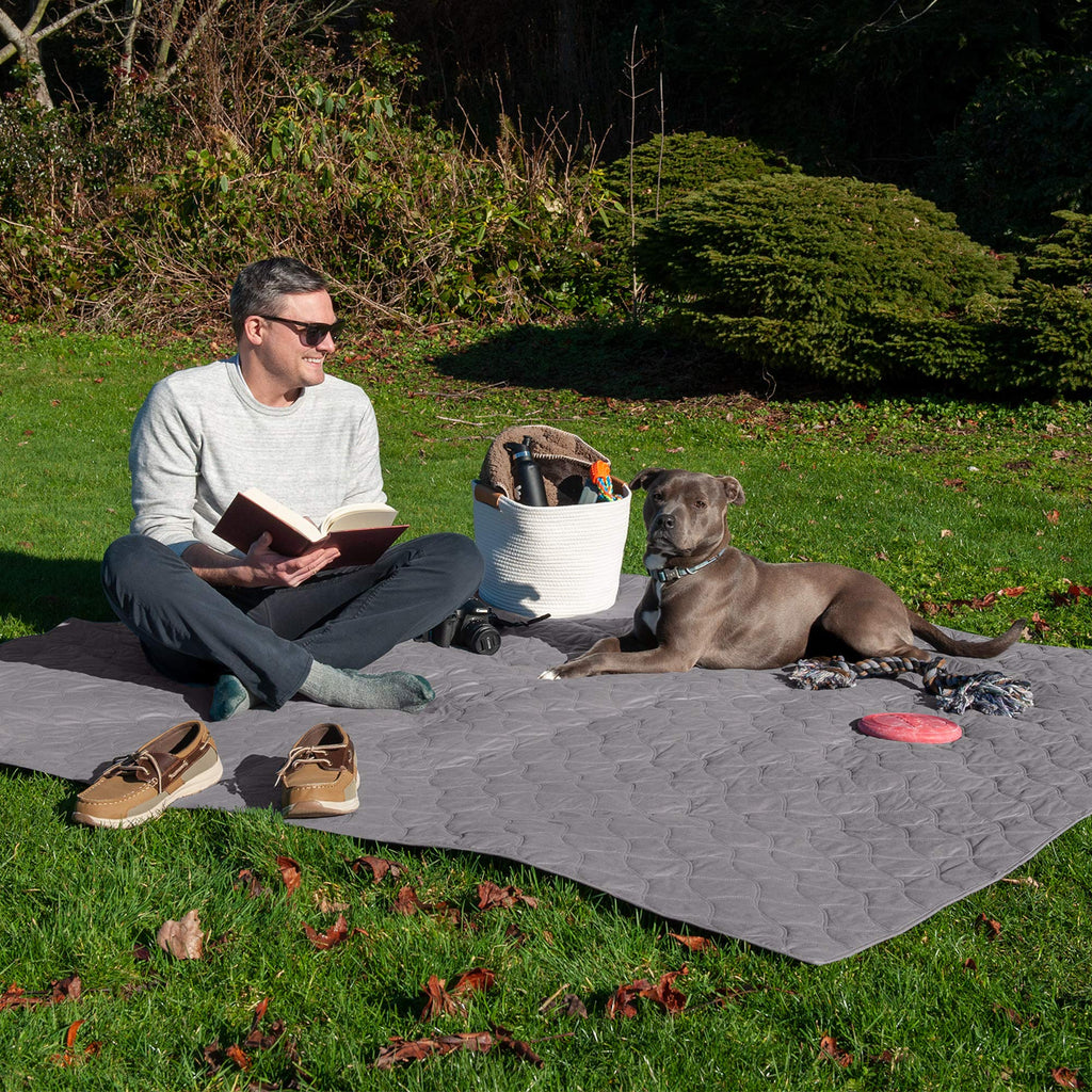 Furhaven Waterproof & Non-Slip Queen Size Mattress Cover Protector for Dogs & Cats, Washable, For Beds, Couches, & Car Seats - Quilted Twill Blanket Mattress Cover - Gray, Large/Queen Size