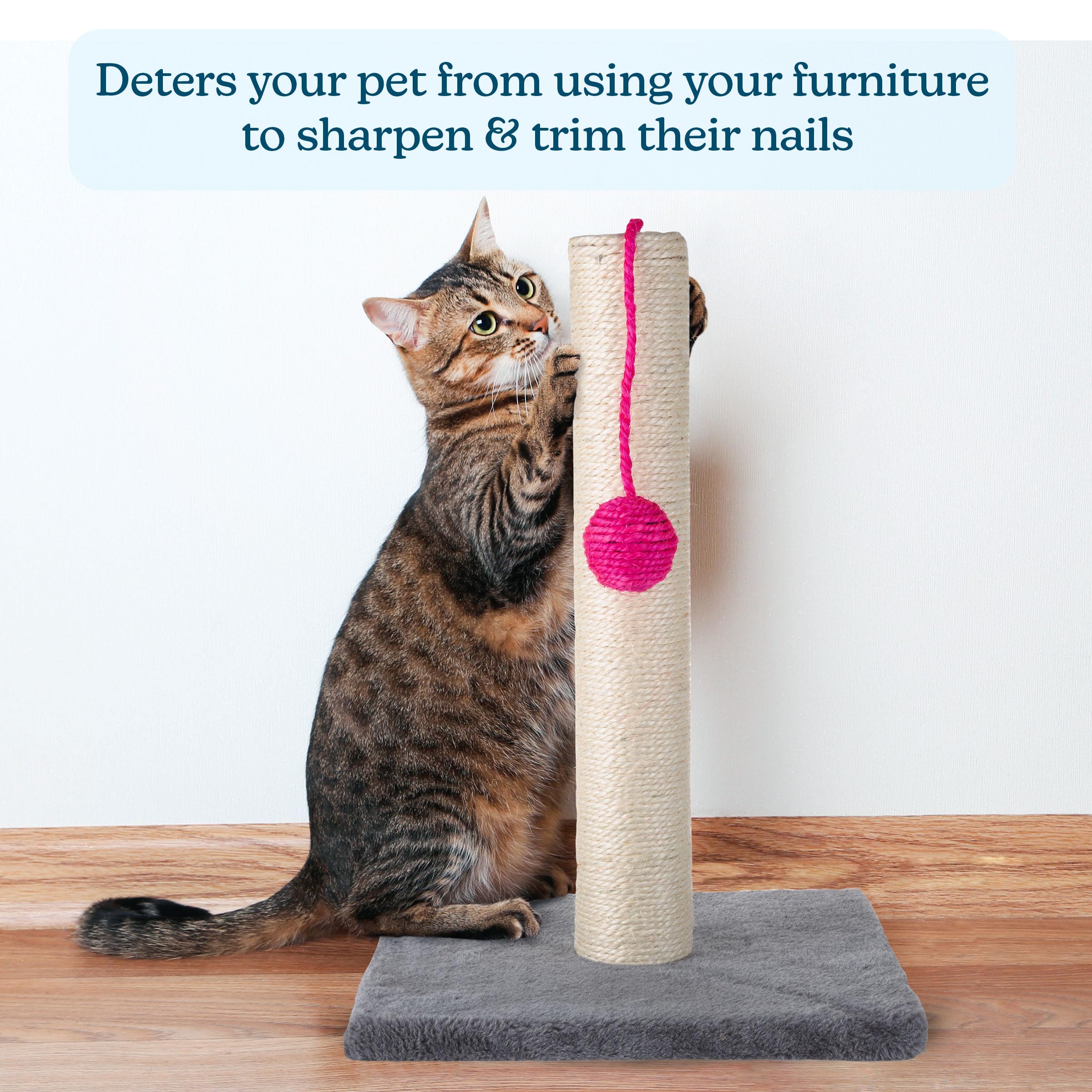 17-Inch Cat Scratching Post - Sisal Rope and Carpet Scratching Pole with Bright Pink Hanging Ball Toy for Adult Cats and Kittens by PETMAKER (Gray)