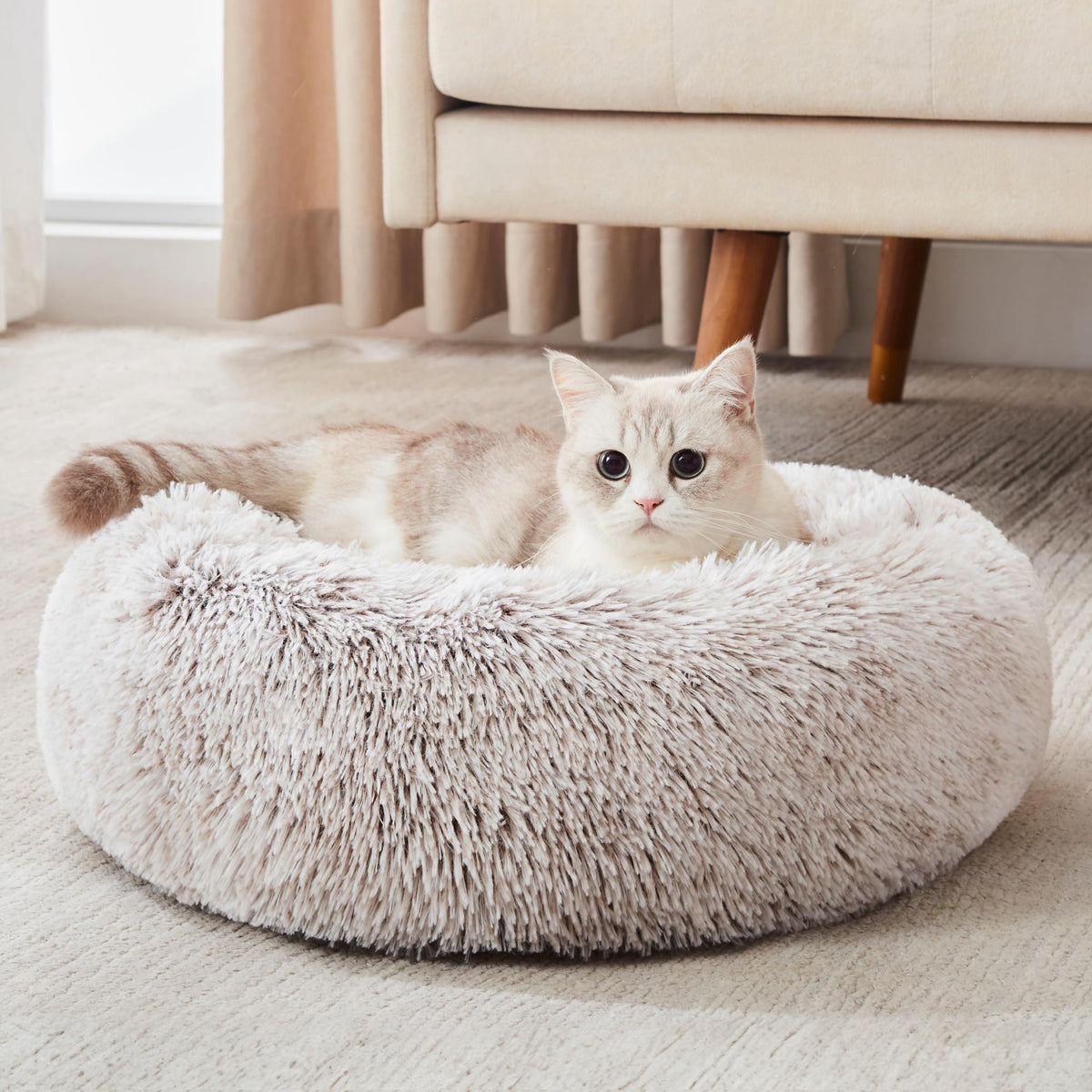 Western Home Calming Donut Small Dog Cat Bed Washable Puppy Bed,24" Rainbow