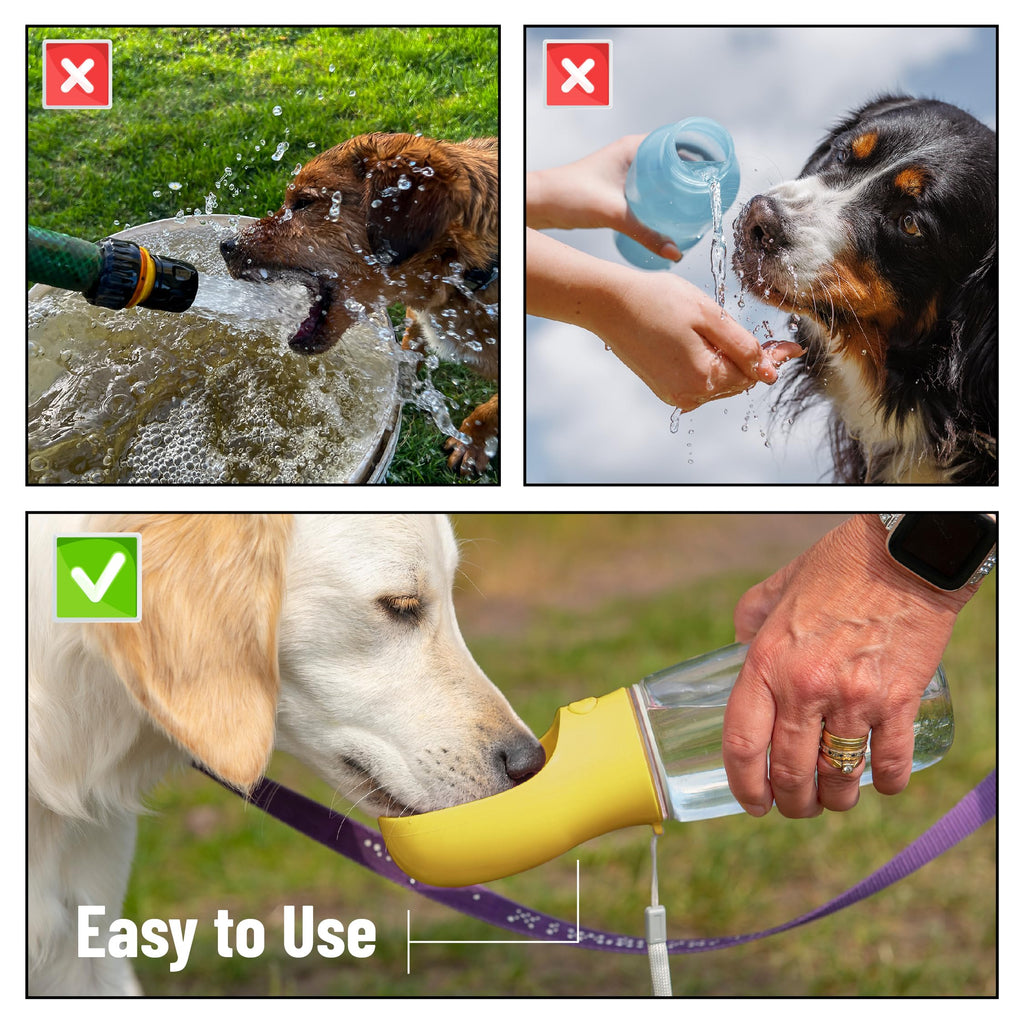 Mr. Pen- Portable Dog Water Bottle, 19 oz, Large