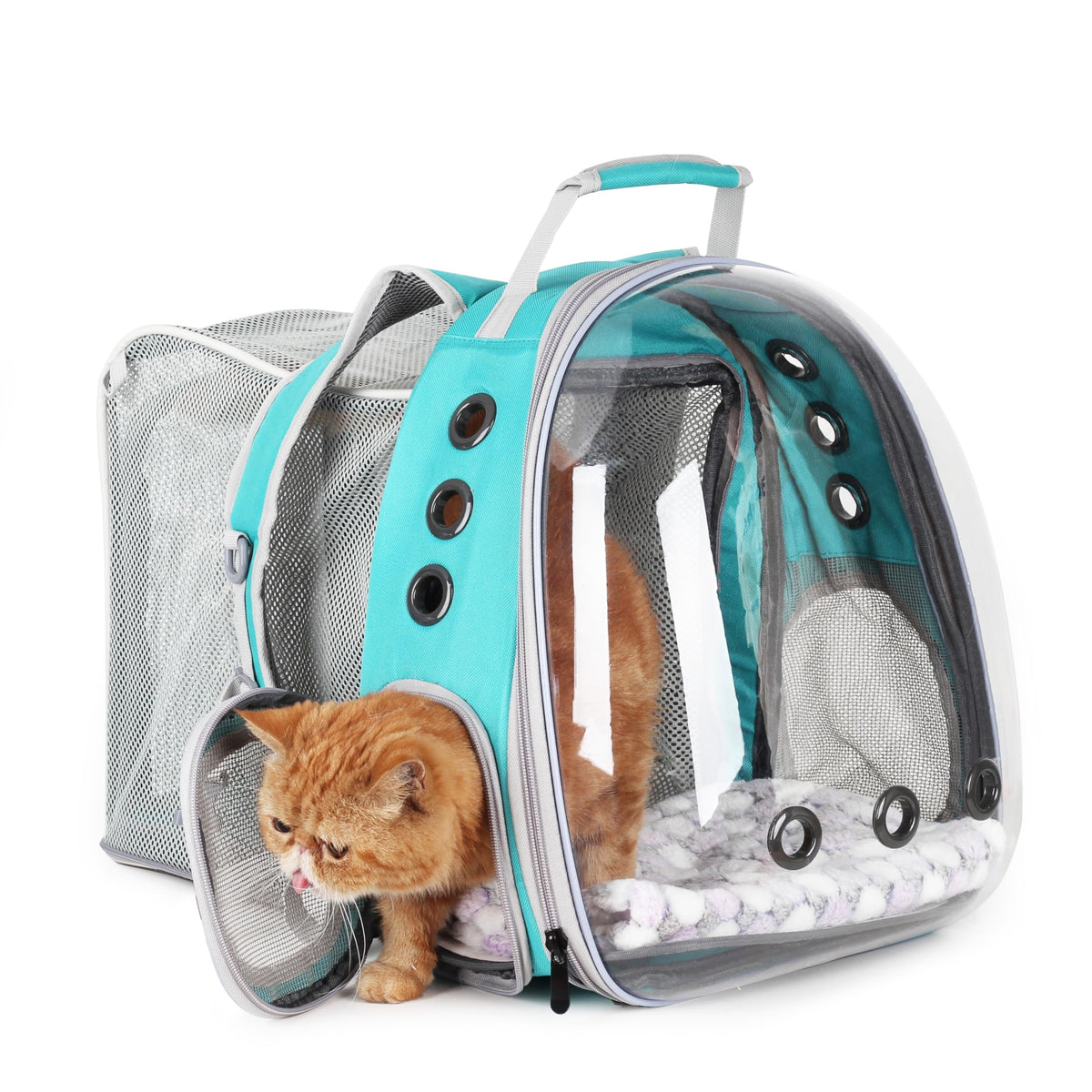 Lollimeow Expandable Bubble Cat Carrier Backpack, Supports up to 16 lbs